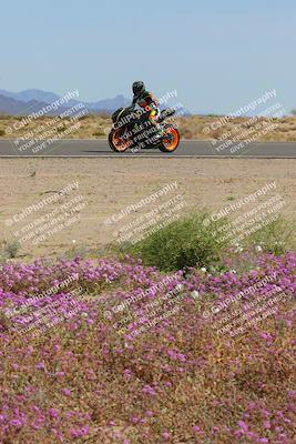 media/Mar-12-2023-SoCal Trackdays (Sun) [[d4c8249724]]/Turn 15 Inside Bloom (130pm)/